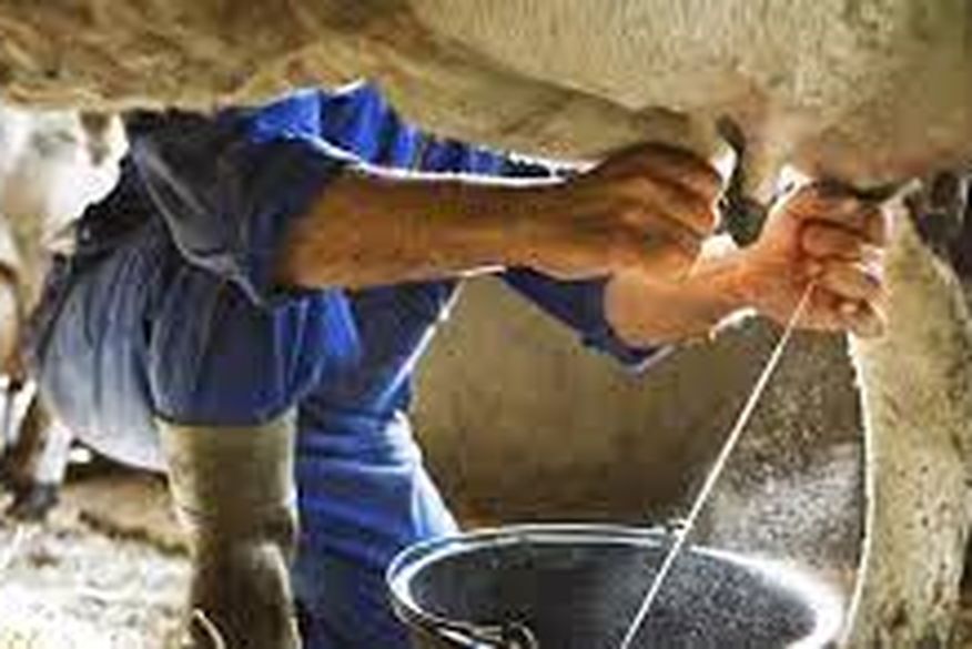 Governador garante renovação até o mês de dezembro do subsídio aos produtores e usinas de beneficiamento de leite na Paraíba