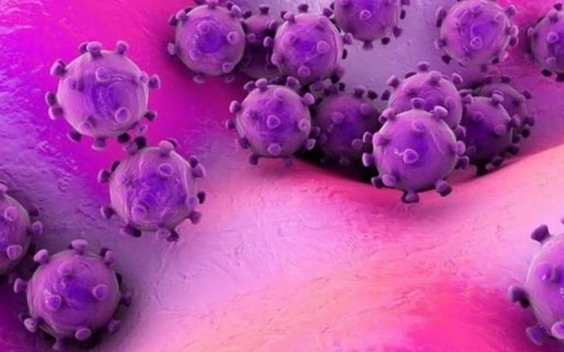 Paraíba confirma primeiro caso da variante ômicron do coronavírus; jovem reside em Campina Grande