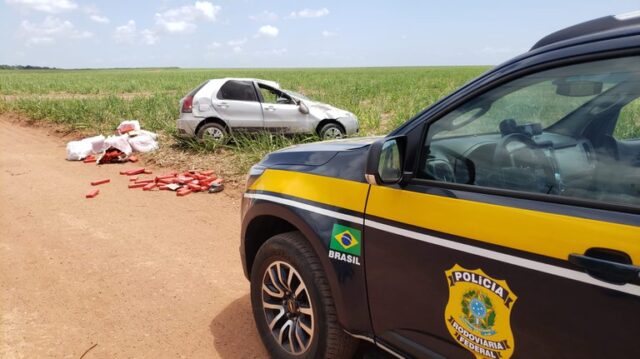 Após perseguição 245kg de maconha são apreendidos na BR-101