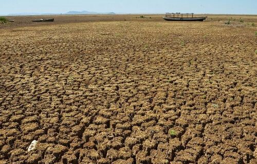 Decreto do governo reconhece situação de estiagem em 150 municípios da Paraíba e atende todo vale do Sabugi