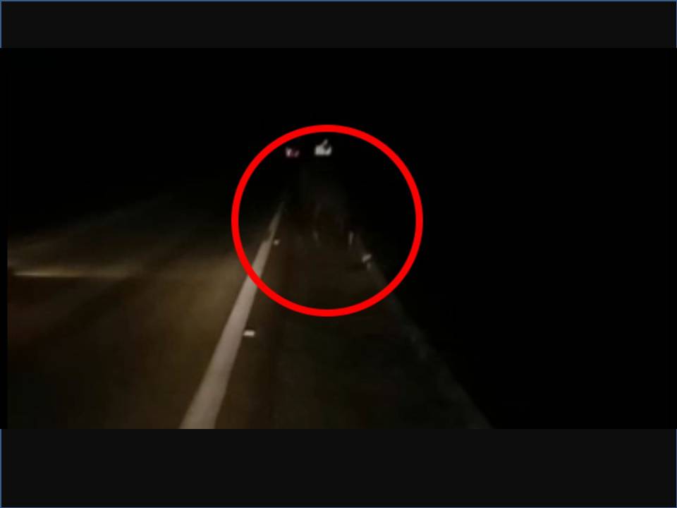 Cavalos são flagrados soltos na BR-361, entre Patos e Santa Terezinha, na noite desta quinta (03). Veja Vídeo