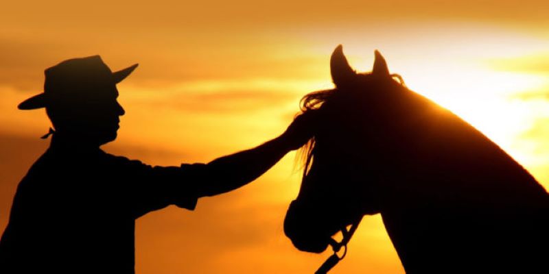 Cavalo fica triste e morre após morte trágica do seu dono na zona rural de São José de Espinharas