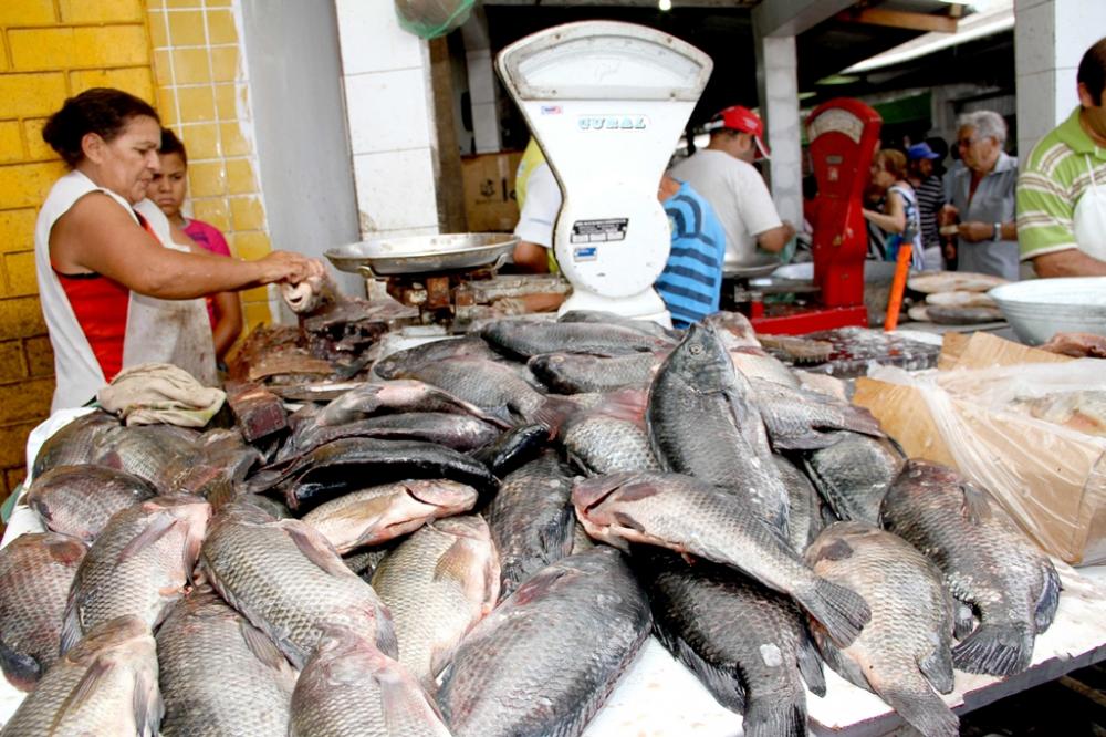 Preço do quilo do peixe pode variar mais de 350% em João Pessoa