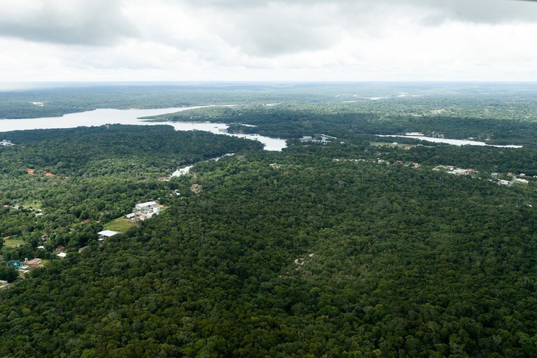 Desmatamento tem queda na Amazônia de 68% em abril em relação a 2022