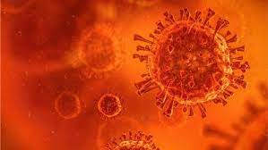 Nova variante da Covid-19 com alto poder de mutação e disseminação é confirmada no Brasil