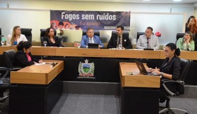 Assembleia Legislativa debate projeto que proíbe venda de fogos de artifício com estampido na Paraíba