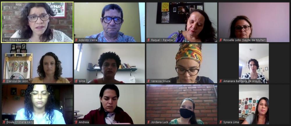 ALPB realizou audiência pública para debater a atuação das doulas durante o período de pandemia