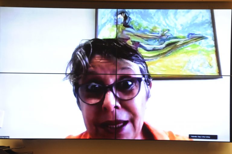 Comissão divulga “Nem pense em me matar”, campanha nacional contra o feminicídio Fonte: Agência Câmara de Notícias