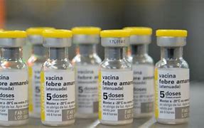 São Paulo confirma primeiro caso de febre amarela em humano em 2025