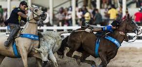 Ministério Público recomenda cancelamento de vaquejada na Paraíba devido a Pandemia