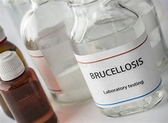Brucelose é detectada em trabalhadores de abatedouros da Paraíba, revela pesquisa