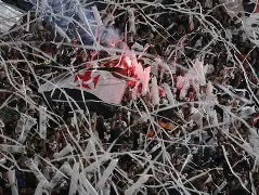 Vasco reverte desvantagem de dois gols e vira sobre o Fluminense no Maracanã