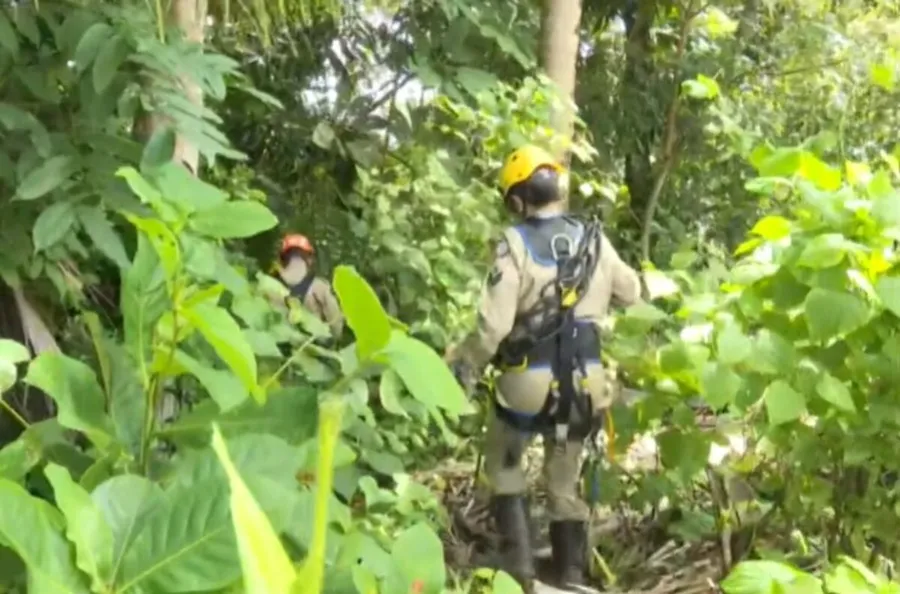 Bombeiros confirmam que corpo encontrado em mata de João Pessoa é de jovem desaparecida
