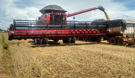 Mesmo com queda, IBGE estima safra recorde de Grãos para este ano em todo Brasil