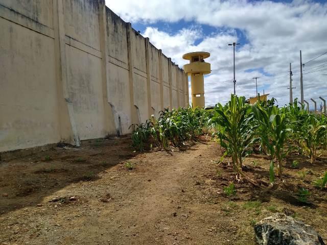 Projeto de ressocialização entre Prefeitura de Patos e Presídio já começa a dar resultados