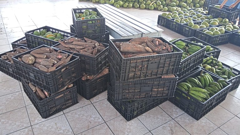 Governo da Paraíba distribui 970 toneladas de alimentos da agricultura familiar em 100 municípios