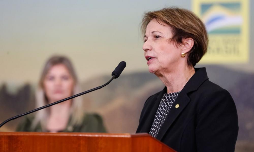 Plano ABC+ pretende reduzir emissão de carbono em 1,1 bi de toneladas